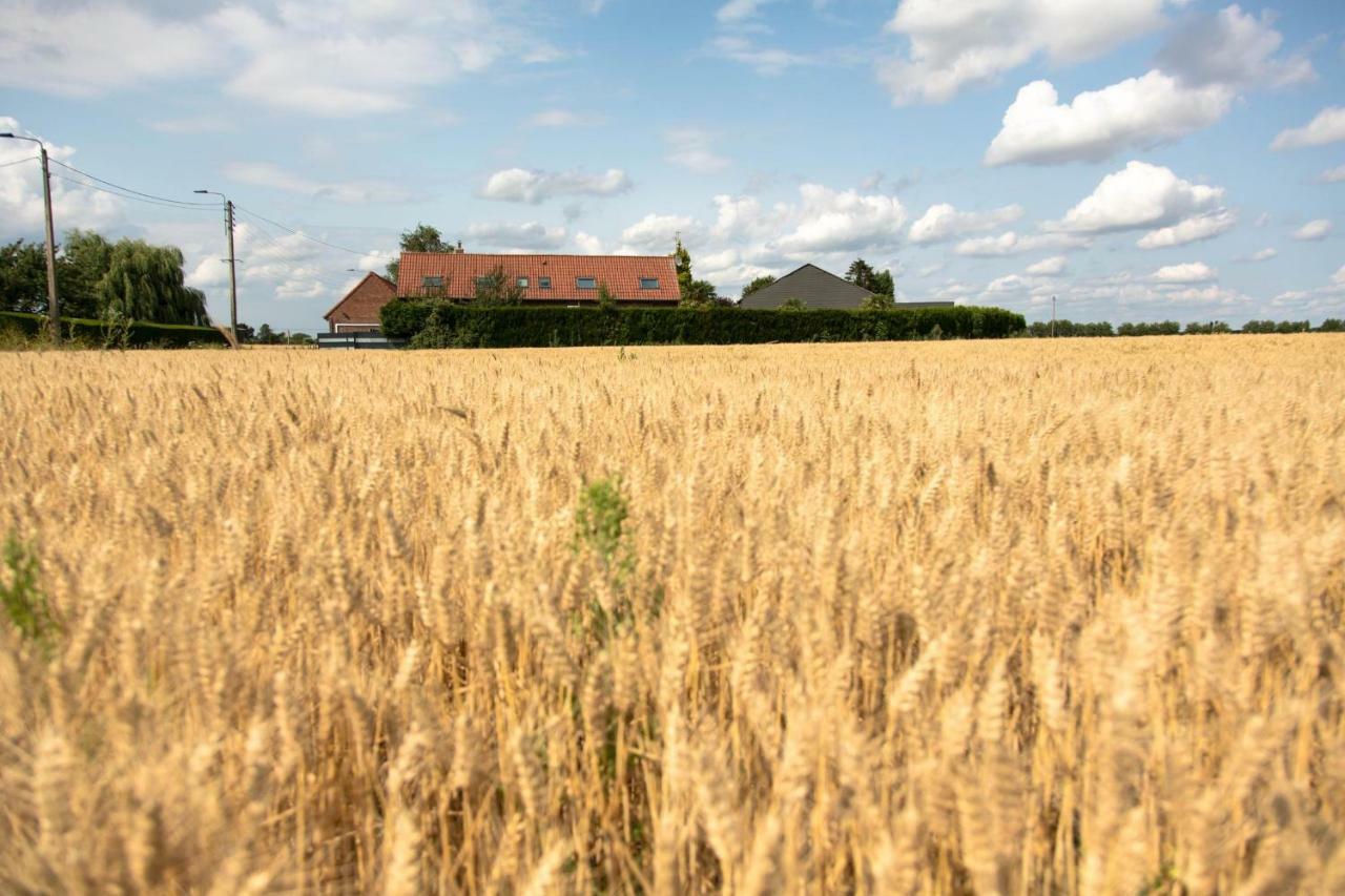 Gites De La Vesee La Chapelle d'Armentieres Luaran gambar